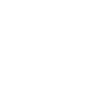 {{ config.site.title }}